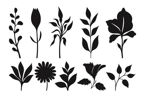 Flat design flower silhouettes 34896378 Vector Art at Vecteezy