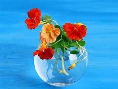 Image result for Free Flower Bouquet