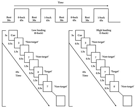 Effortful Control and Prefrontal Cortex Functioning in Children with ...