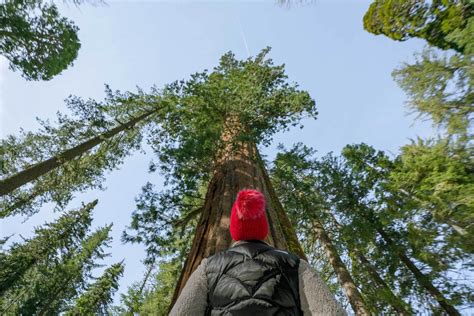 10 Best Griffith Park Hikes (For All Levels!) - Bobo and ChiChi