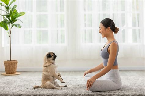 Doga 101: A Beginner’s Guide To Dog Yoga – The Dogington Post