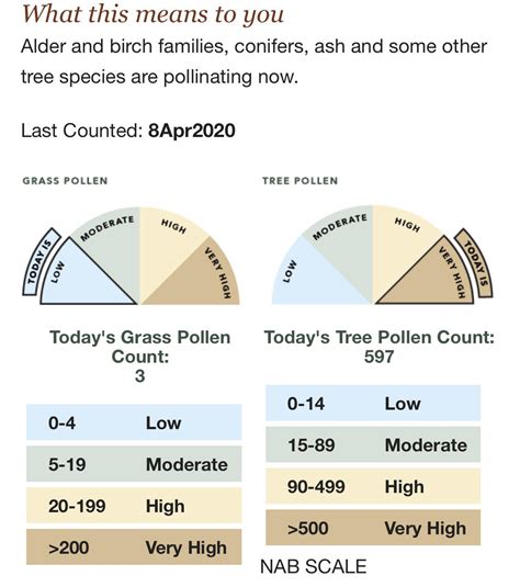 The trees are spewing their life force out hard right now. I envy you ...