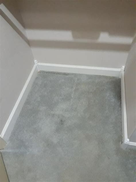 Ornamental Mouldings 6-1/2-in x 1-1/8-in Interior Primed Colonial 1892 ...