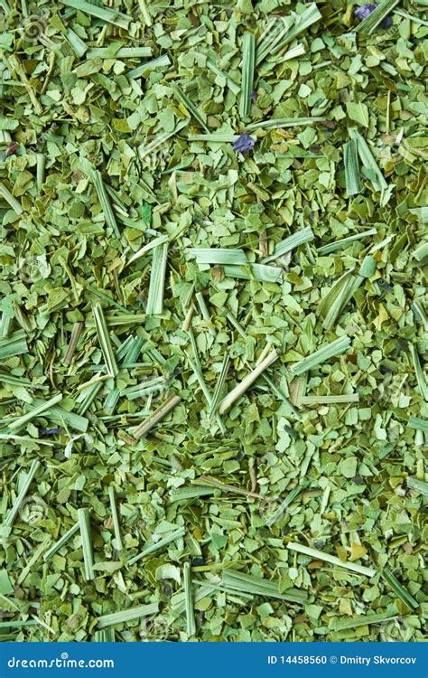 Dry yerba mate leaves stock photo. Image of habit, closeup - 14458560