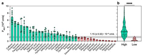 Permeability Assessment of a High-Throughput Mucosal Platform
