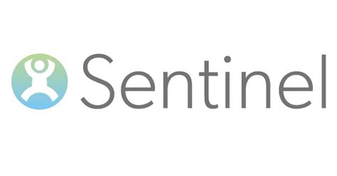 Image result for Sentinel Programming Software