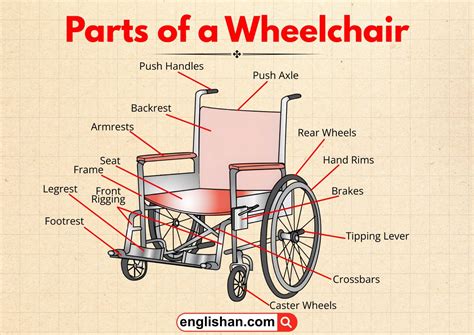 Parts Of Wheelchair: Labeled Diagram For Easy Recall