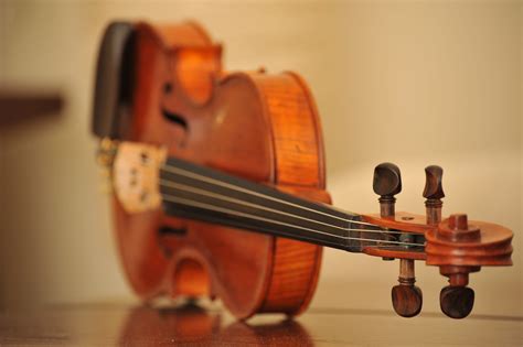 Image result for Classical String Instruments