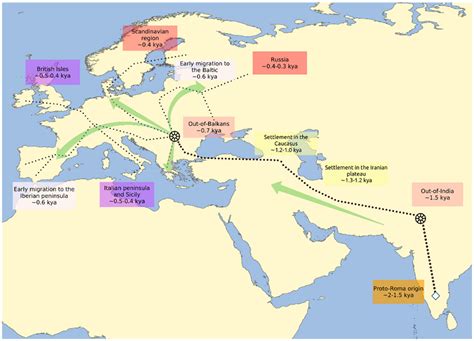 Population Genetics of the European Roma—A Review