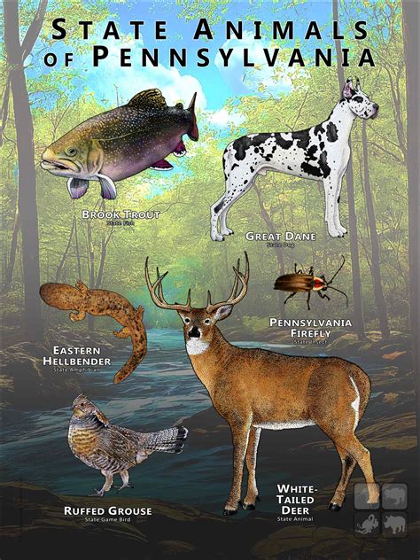 Pennsylvania State Animals Poster Print