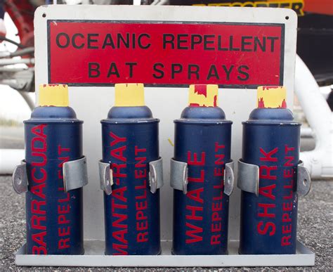 The coolest picture of a shark out of the water I've ever seen. : r/pics