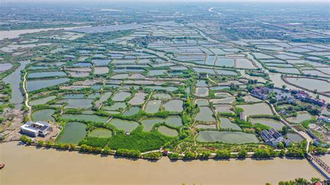 水乡百鱼宴香飘长三角 湖州南浔千年古村开启鱼文化新航程_视觉 _ 文汇网