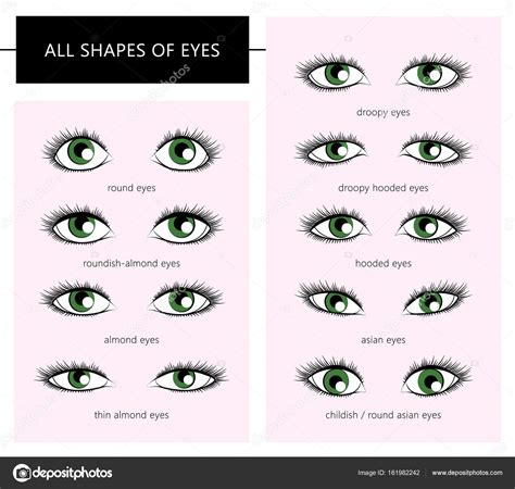 Eye Shapes