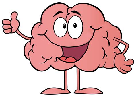 Cartoon Brain Clip art - Brain png download - 4500*3214 - Free ...