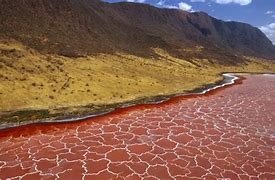 Image result for Red Sea