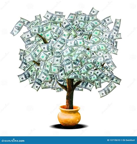 Money Tree Stock Photo - Image: 13719610
