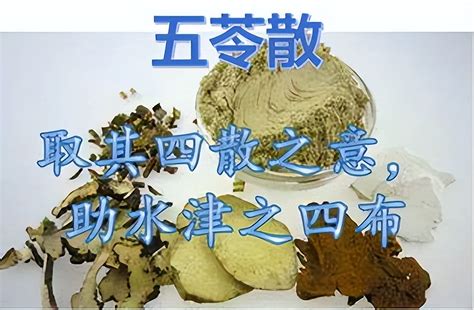 入秋排湿，一年不堵，张仲景祛湿方，利水祛湿 让你无湿一身轻 - 哔哩哔哩