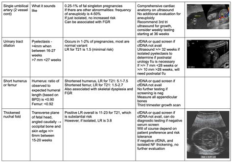Down Syndrome Ultrasound Markers