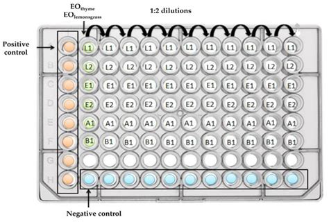 Antimicrobial and Antibiofilm Potential of Thymus vulgaris and ...