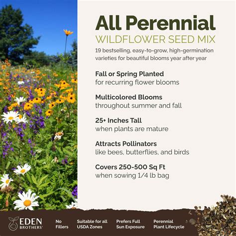 All Perennial Wildflower Seed Mix | Wildflower Seeds | Eden Brothers