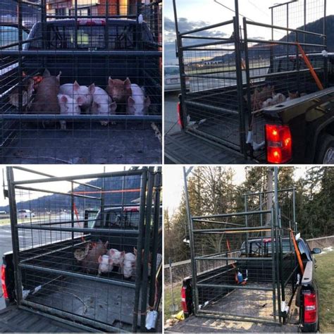 Our Products In Use – Alaska Farm Supply