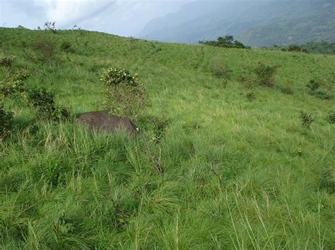 Tourist Places Near Kannur: Best Places to Visit & Things To See around ...