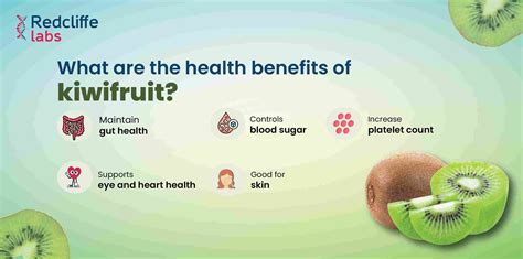 Kiwi Benefits 10 Benefits Of Kiwi Fruit: Health Nutrition Weight Loss