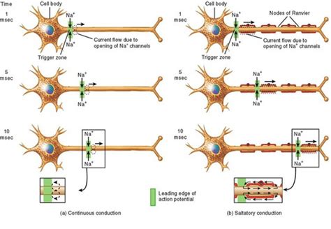 Continuous Conduction 的图像结果