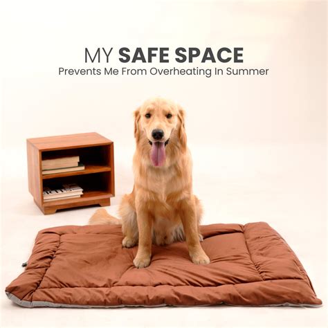 Summer Bed | Barks & Wags | India