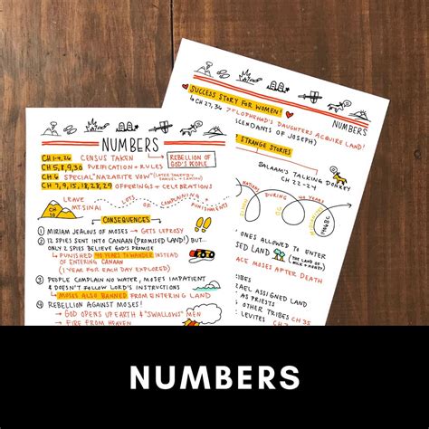 Book Of Numbers Bible