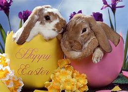 Image result for Cute Cartoon Easter Bunnies