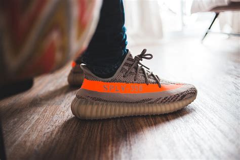 Wearing Shoes 的图像结果