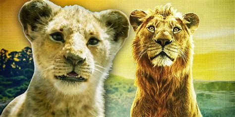 The Lion King Movies In Order