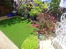 Green Grass And Lush Vegetation On A Roof In Montreal by Lush Green Lawn Green Lawn Plants Grass Green Grass And Lush Vegetation On A Roof In Montreal
