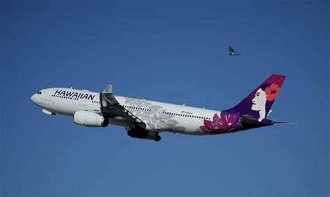 Terror as huge Hawaiian Airlines jet is diverted off tarmac moments ...