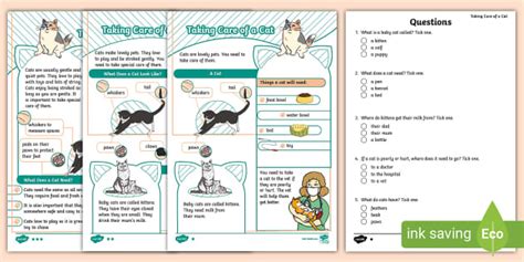 KS1 How To Look After A Cat Differentiated Reading Comprehension Activity