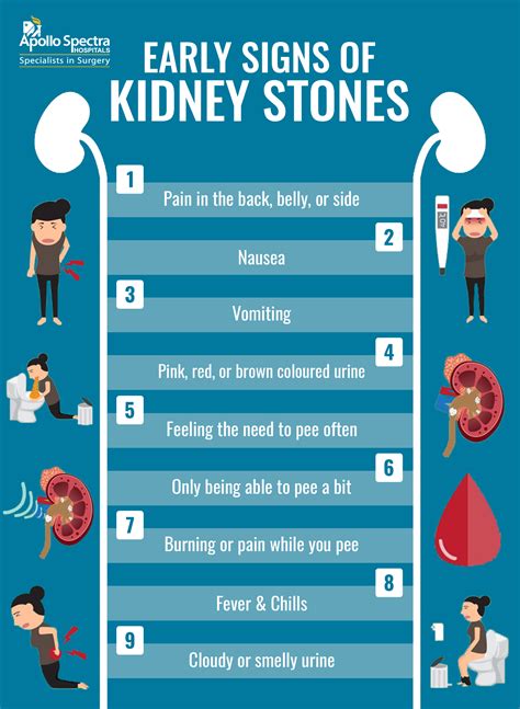 Kidney Stone Pain Symptoms In Tamil - Infoupdate.org