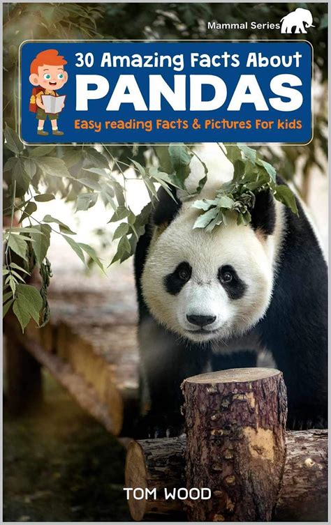 30 Amazing Facts About Pandas: Easy Reading Facts & Pictures For Kids ...