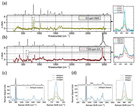 Integrated Nanophotonic Waveguide-Based Devices for IR and Raman Gas ...
