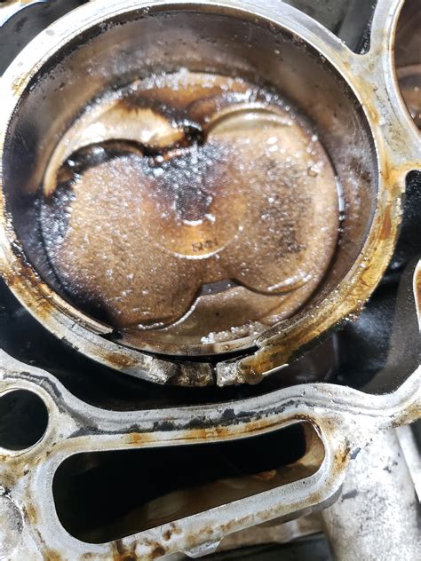 The Truth About Bunni.emmie: The Leak Finally Explains All - Truth or Fiction