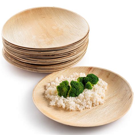 Buy brheez Palm Leaf Plates 100 Ct (12 Inch) - Eco Friendly ...