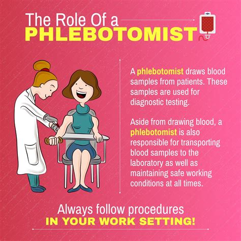 Phlebotomist Job Description
