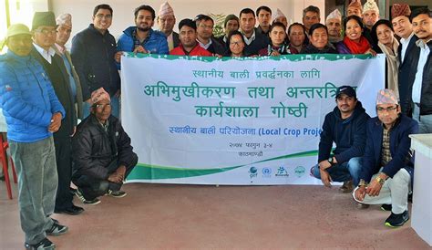 Promote Local Production 的图像结果