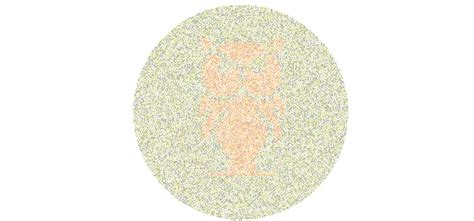 Image result for Fun Color Vision Quiz Answers