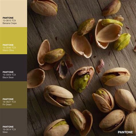 Pistachio Natural Color at Patrice Hassinger blog