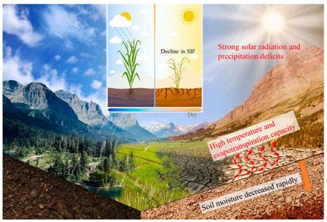 Characteristics of Vegetation Photosynthesis under Flash Droughts in ...