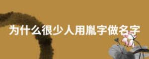 「胤」の部首・画数・読み方・意味など