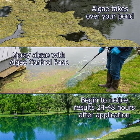 Pond Algae Control 的图像结果