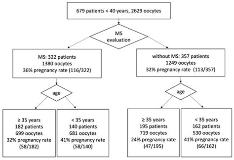 Timing of ICSI with Respect to Meiotic Spindle Status