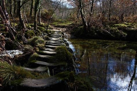 Nature Park 的图像结果